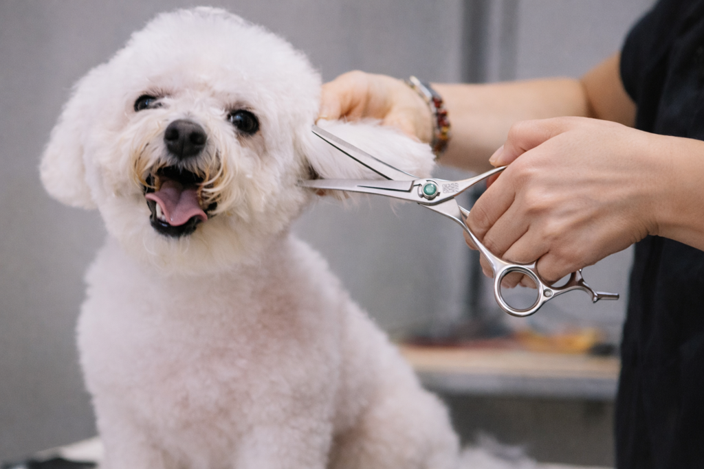 Tesoura Profissional Pet Precision 7.0 / 7.5” – Corte Premium em Aço VG10