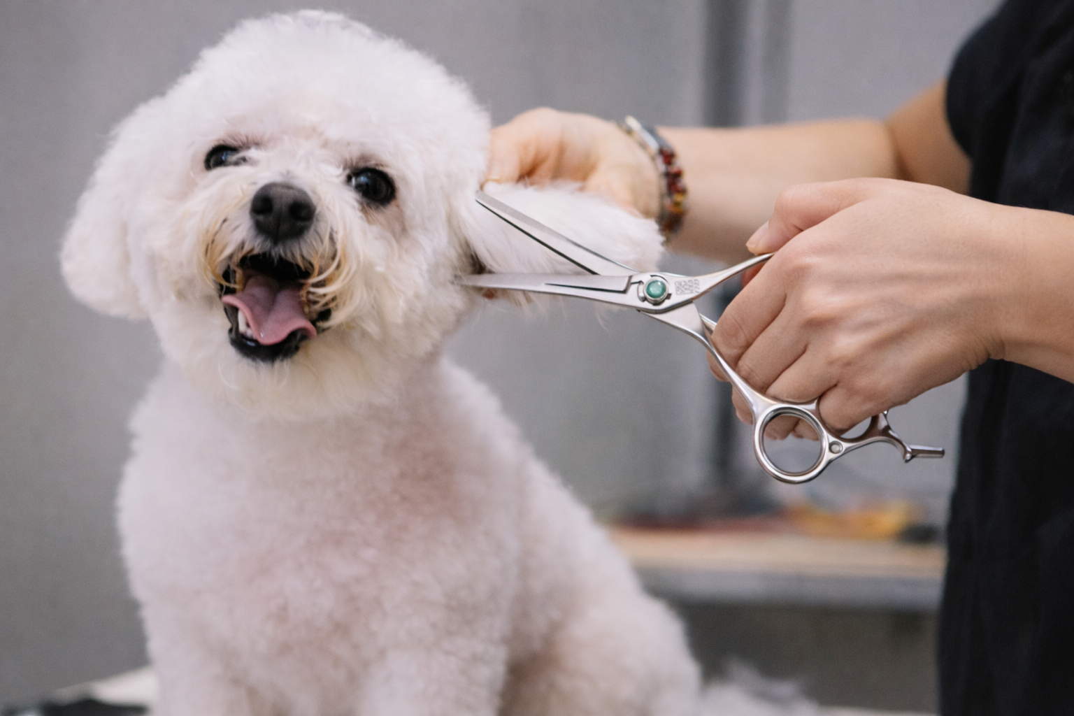 Tesoura Profissional Pet Precision 7.0 / 7.5” – Corte Premium em Aço VG10