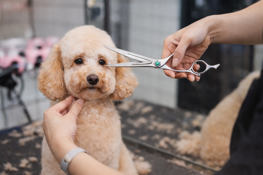 Tesoura Profissional Pet Precision 7.0 / 7.5” – Corte Premium em Aço VG10