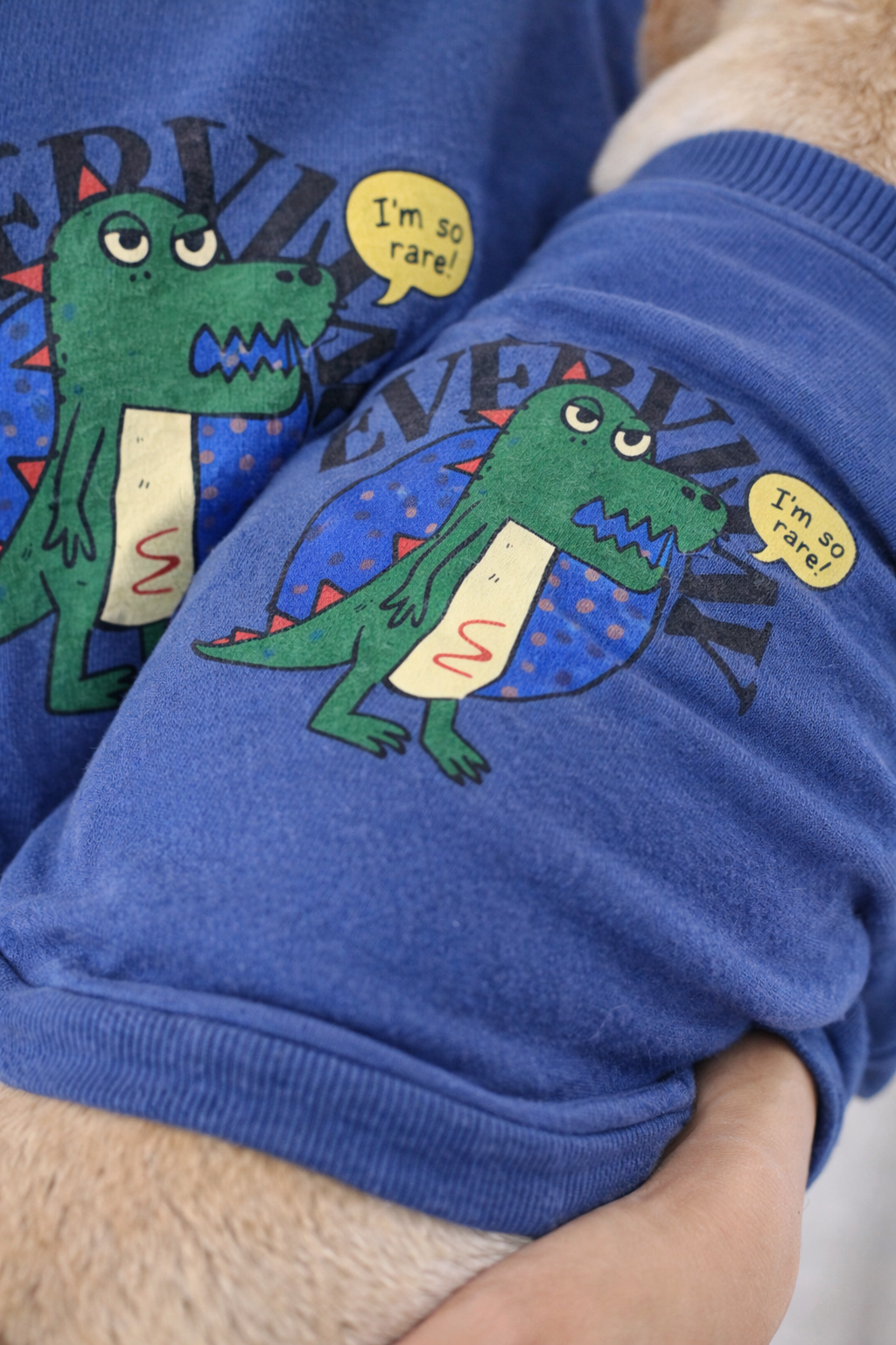 Urban Match™ | Conjunto Casual Pet & Tutor