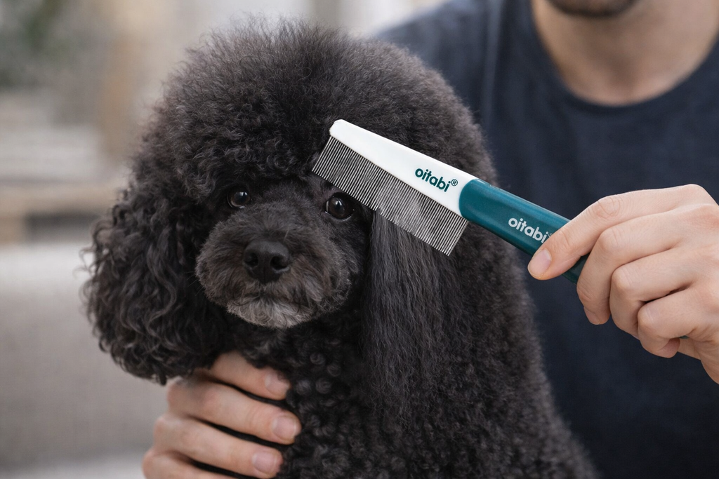 Pente Oitabi Antipulgas & Anti-Manchas – Cuidado Profissional Sem Dor