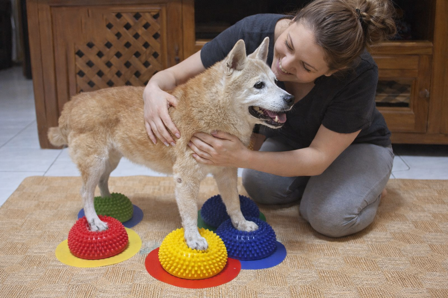 Almofada de Reabilitação e Equilíbrio Canino – Treino Neuromotor e Força Muscular