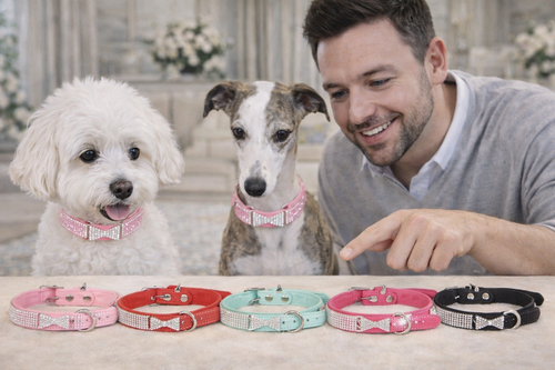 Coleira Crown Lux com Strass – Conforto e Brilho para Cães de Todos os Portes