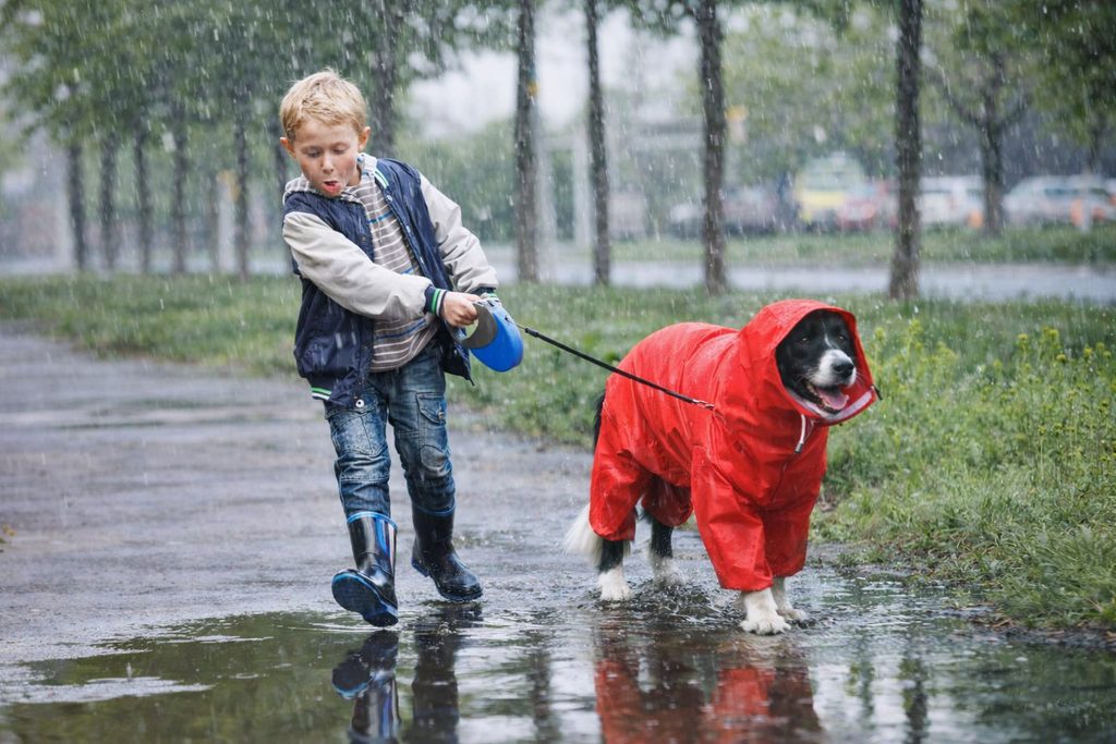 Capa de Chuva Impermeável para Cães Médio e Grande Porte