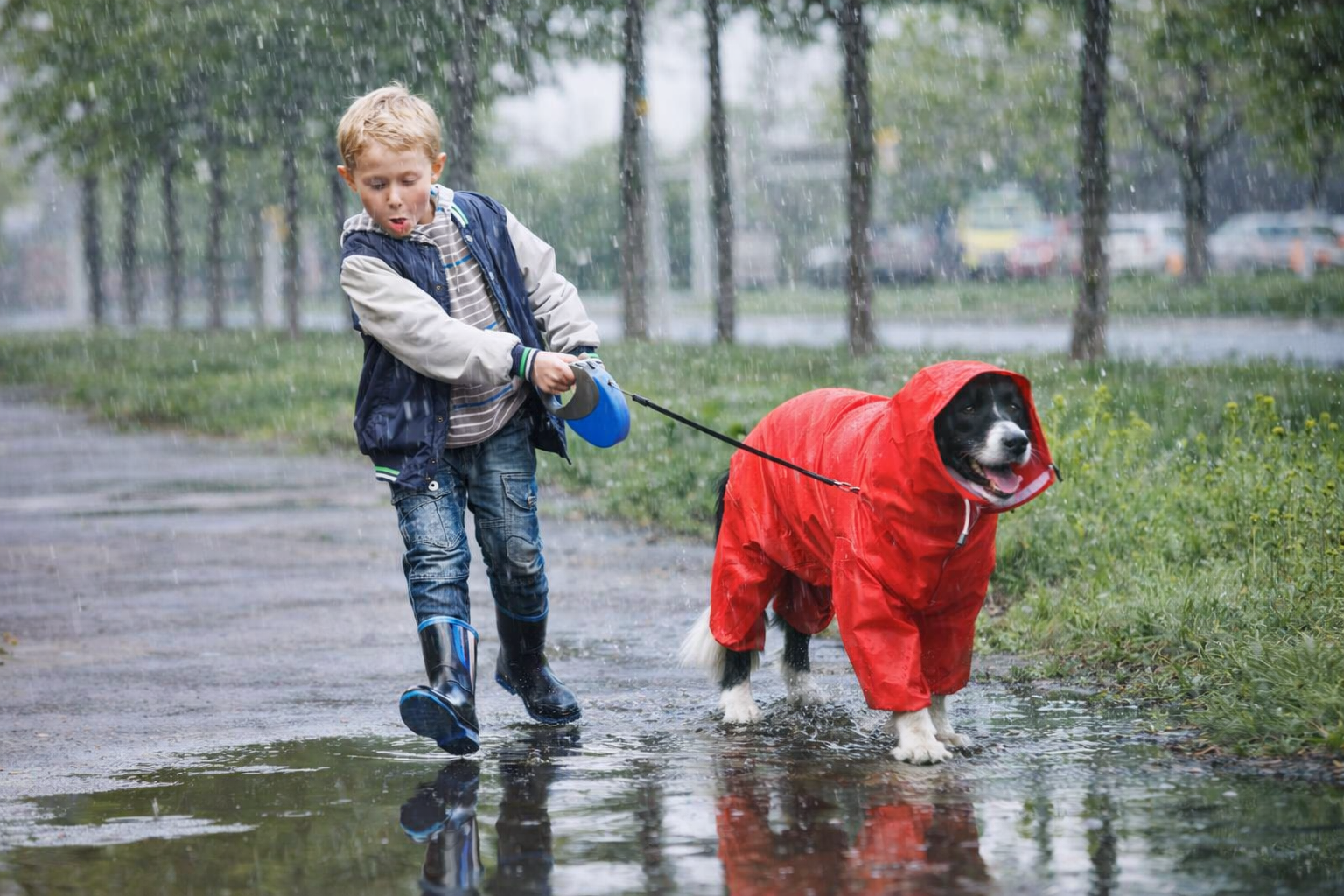 Capa de Chuva Impermeável para Cães Médio e Grande Porte