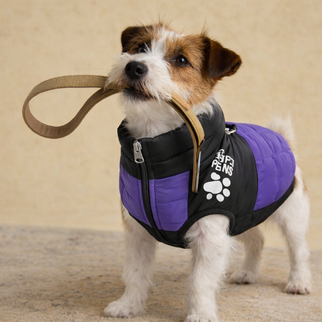 Colete Impermeável de Inverno para Cães – Corta-Vento e Térmico