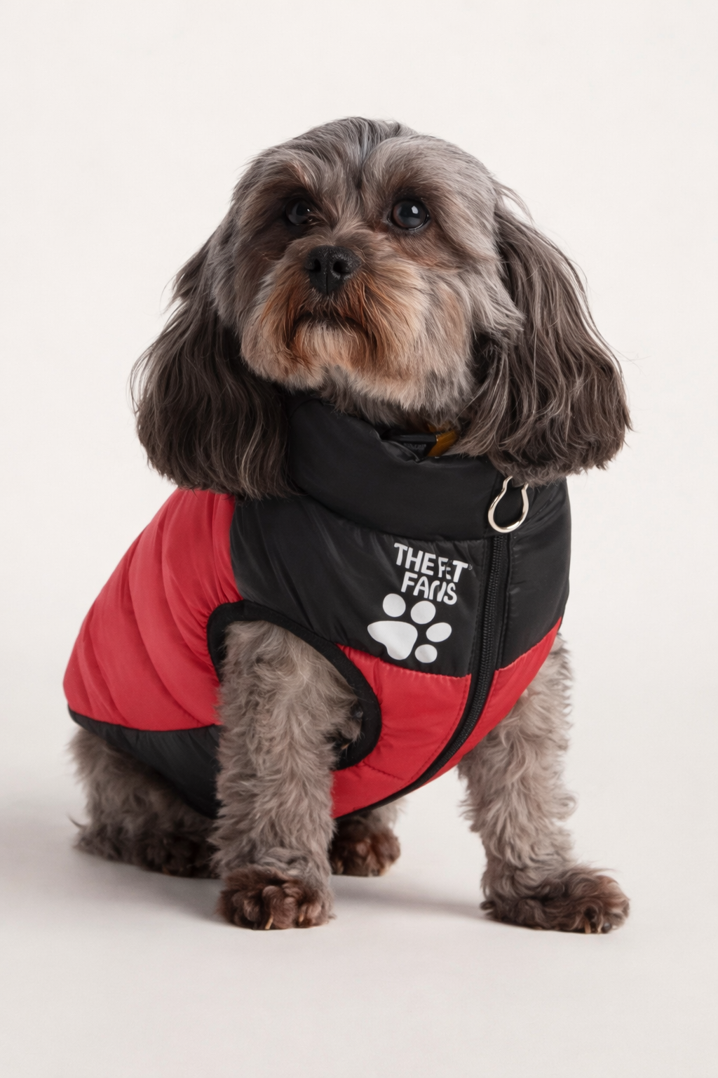 Colete Impermeável de Inverno para Cães – Corta-Vento e Térmico