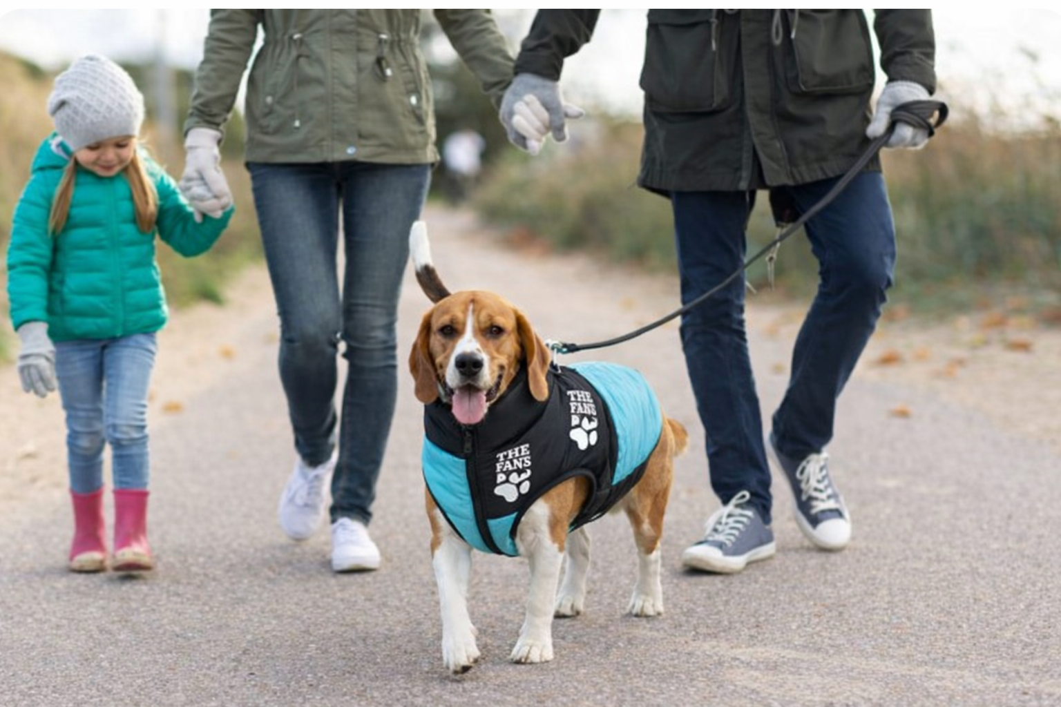 Colete Impermeável de Inverno para Cães – Corta-Vento e Térmico