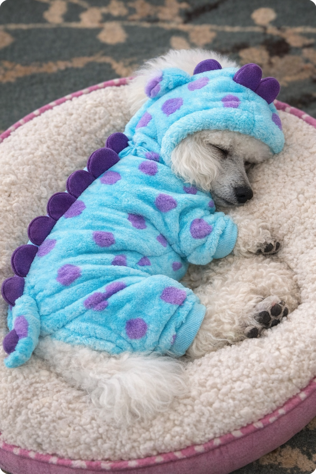 Moletom Pijama Pet com Capuz Dinossauro – Quentinho para Inverno