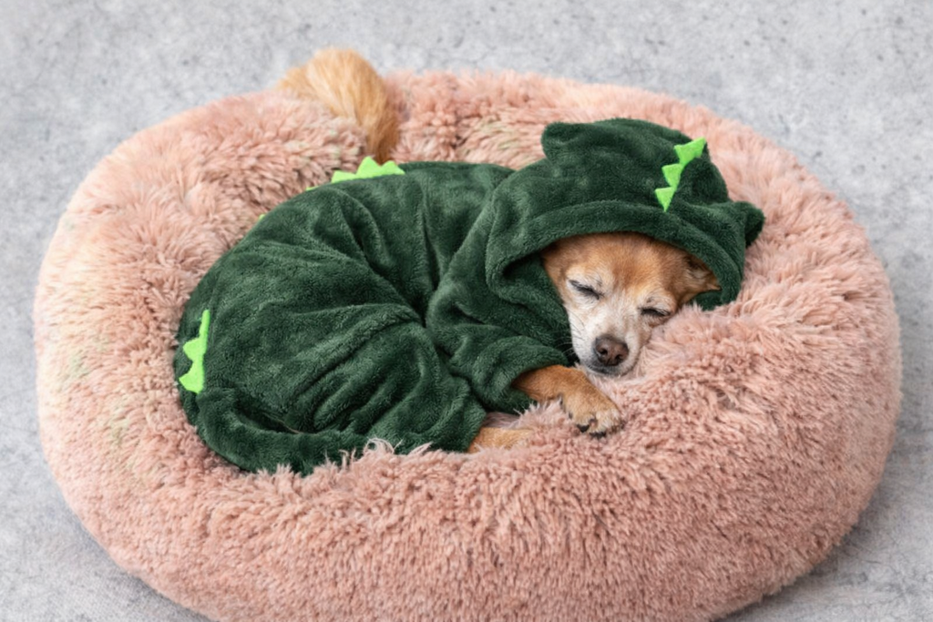 Moletom Pijama Pet com Capuz Dinossauro – Quentinho para Inverno