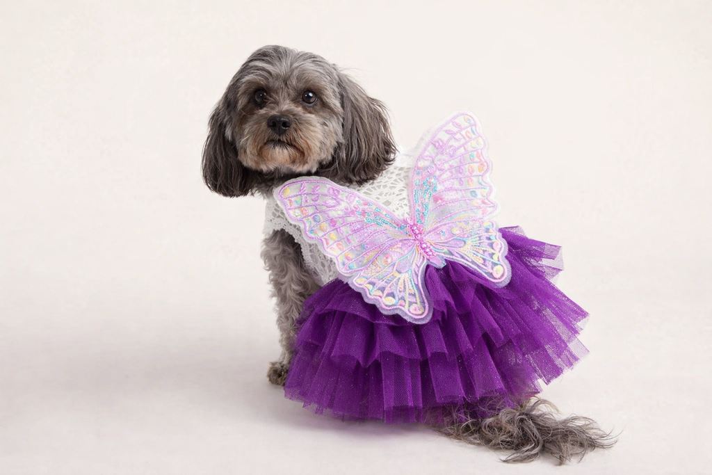 Vestido Princesa Borboleta para Cães e Gatos Pequenos em Renda e Tule – Fantasia Elegante Pet