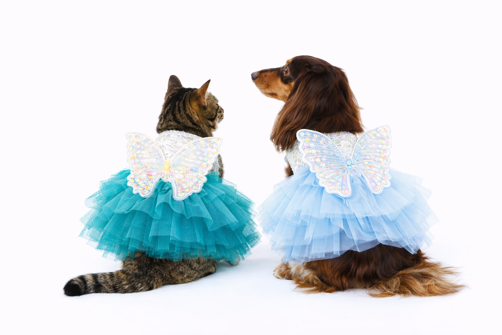 Vestido Princesa Borboleta para Cães e Gatos Pequenos em Renda e Tule – Fantasia Elegante Pet