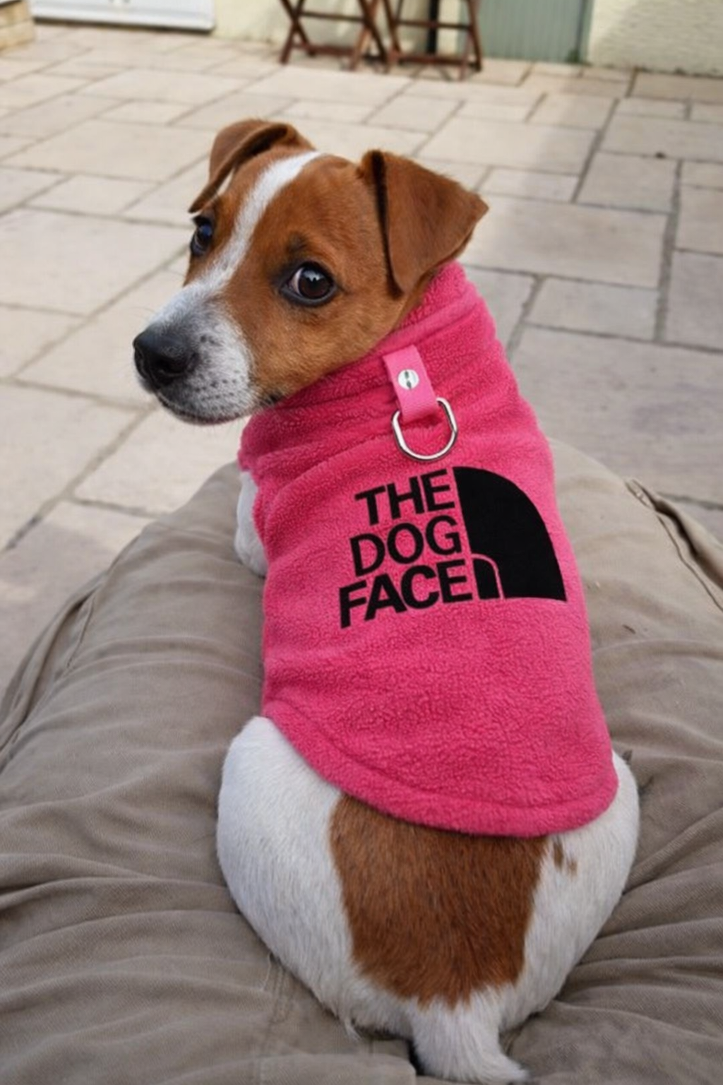 Winter Fleece Dog Vest “The Dog Face” – Jaqueta Estilo Outdoor para Cães Pequenos