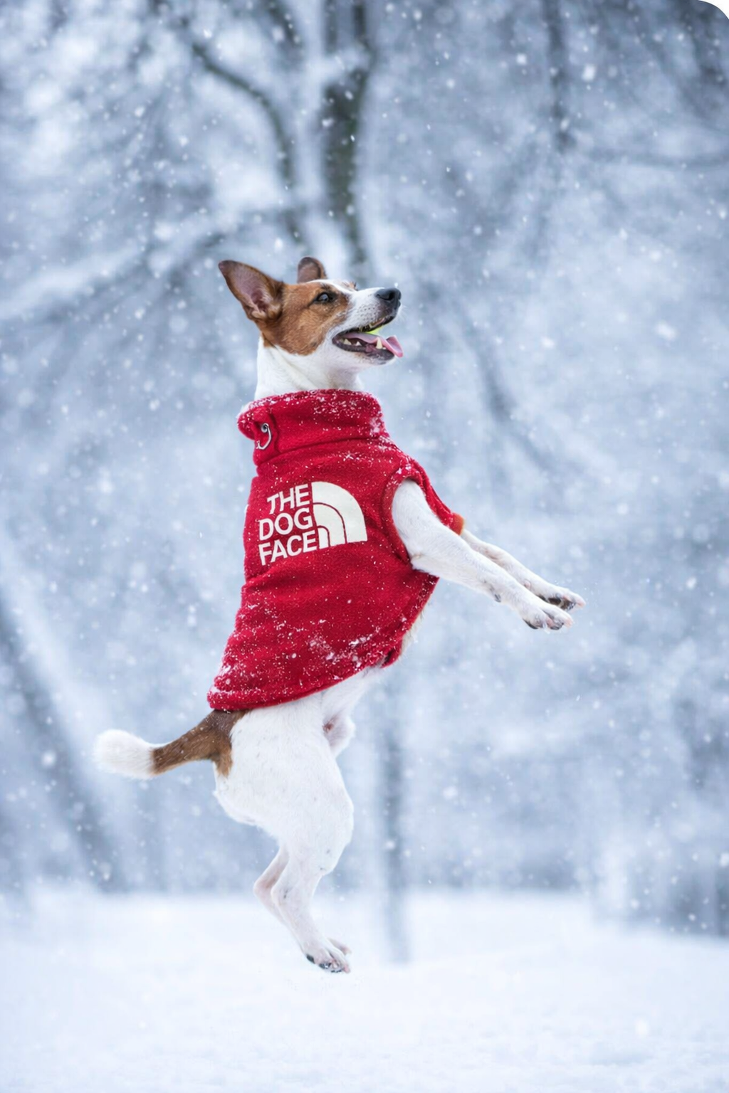 Winter Fleece Dog Vest “The Dog Face” – Jaqueta Estilo Outdoor para Cães Pequenos