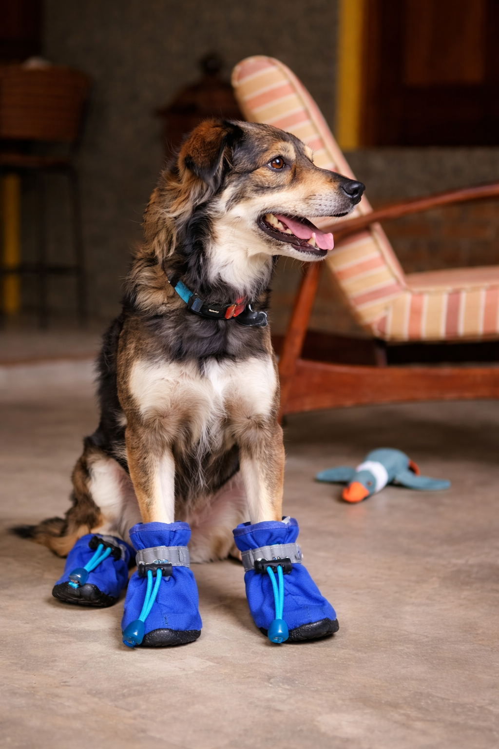 RainSafe™ Botas Impermeáveis para Cães (4 Peças)