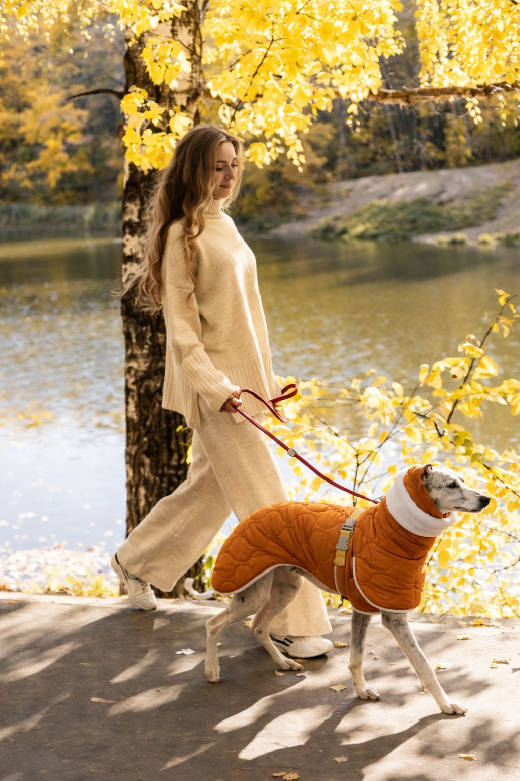 Casaco Impermeável de Inverno para Whippet – Ajuste Anatômico & Forro Térmico