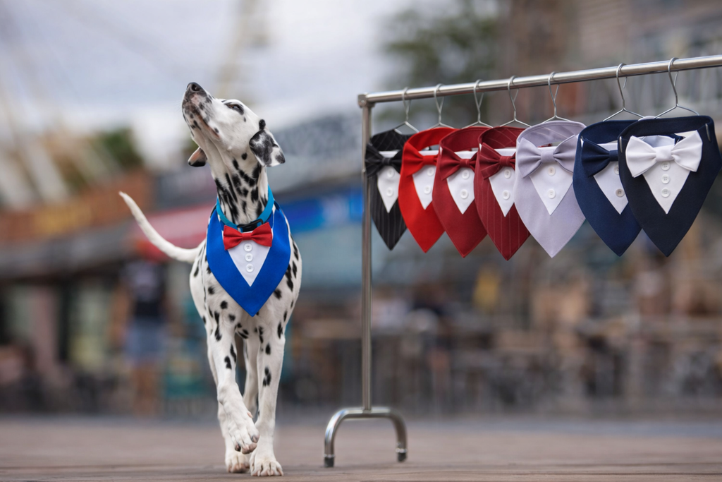 Bandana Smoking para Cães – Gravata Borboleta Elegante