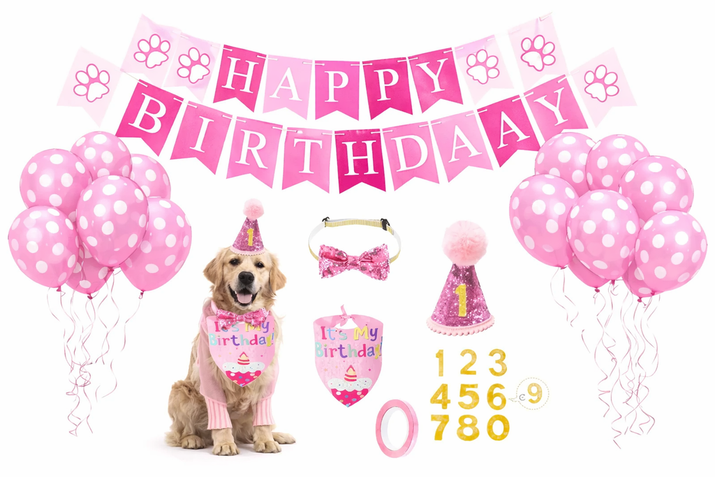 Pet Birthday Party Kit – Look Completo para o Grande Dia