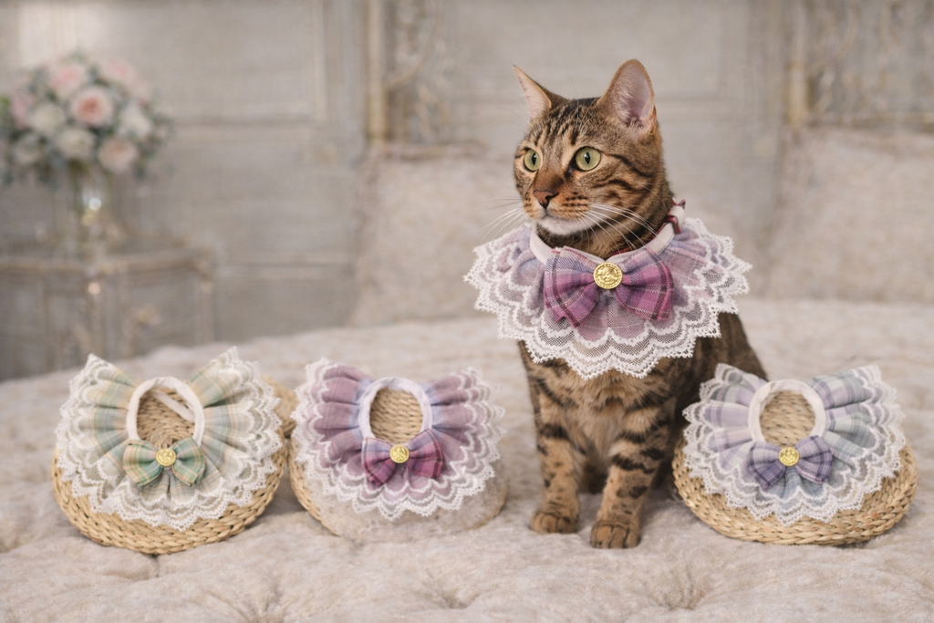 Professional Pet Bandana Collar – Lace Bow Edition