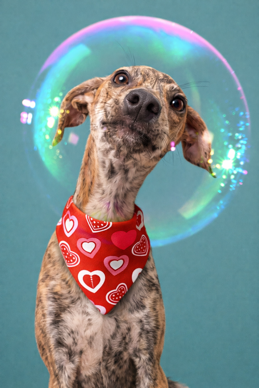 Valentine Pet Bandana – Estilo, Conforto e Amor em Cada Detalhe