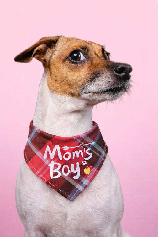 Bandana Premium Dupla Face para Cães | Estilo Festival & Família