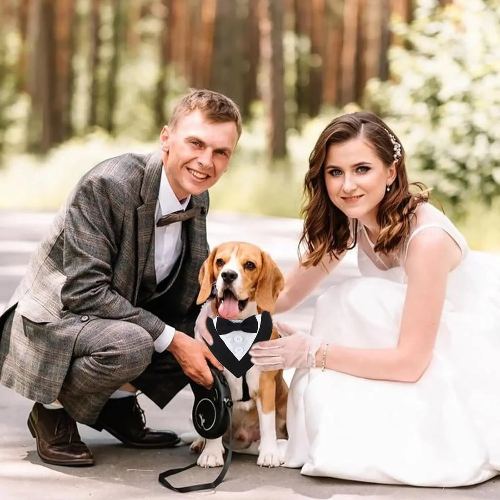 Bandana Smoking para Cães – Gravata Borboleta Elegante