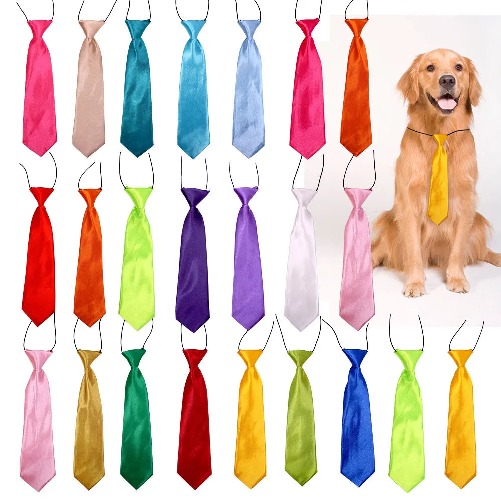 Gravatas Pet Ajustáveis Premium – Kit Profissional & Uso Diário