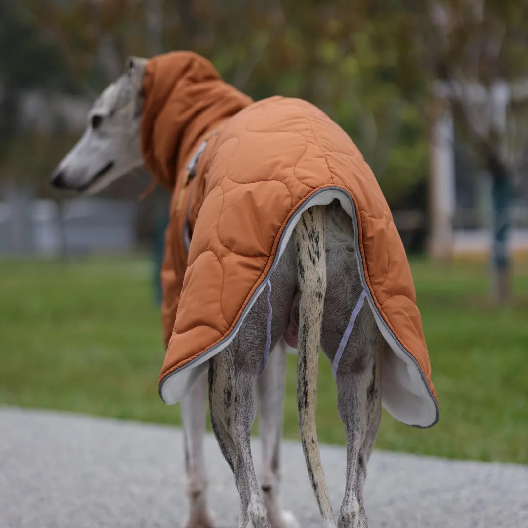 Casaco Impermeável de Inverno para Whippet – Ajuste Anatômico & Forro Térmico