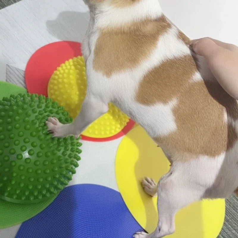 Almofada de Reabilitação e Equilíbrio Canino – Treino Neuromotor e Força Muscular