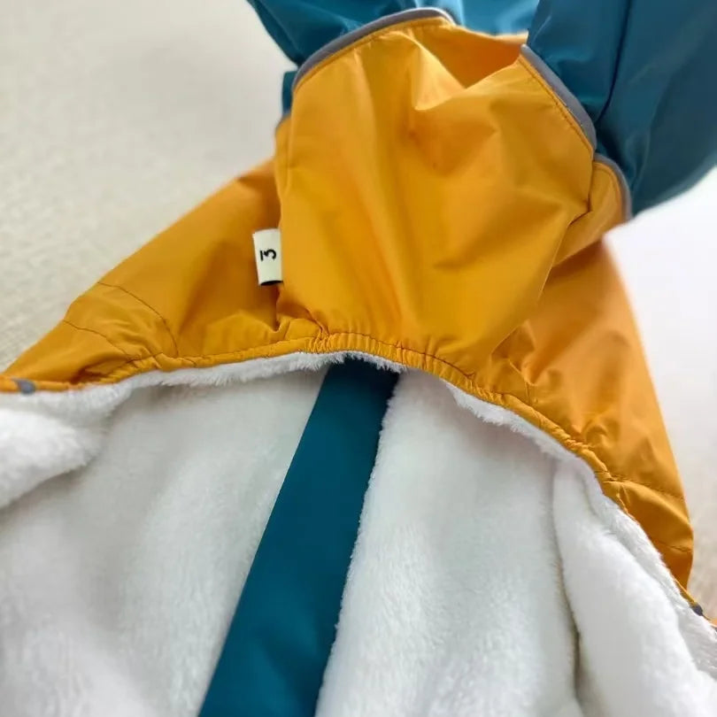 Capa de Chuva Térmica Impermeável para Whippet – Azul & Amarelo
