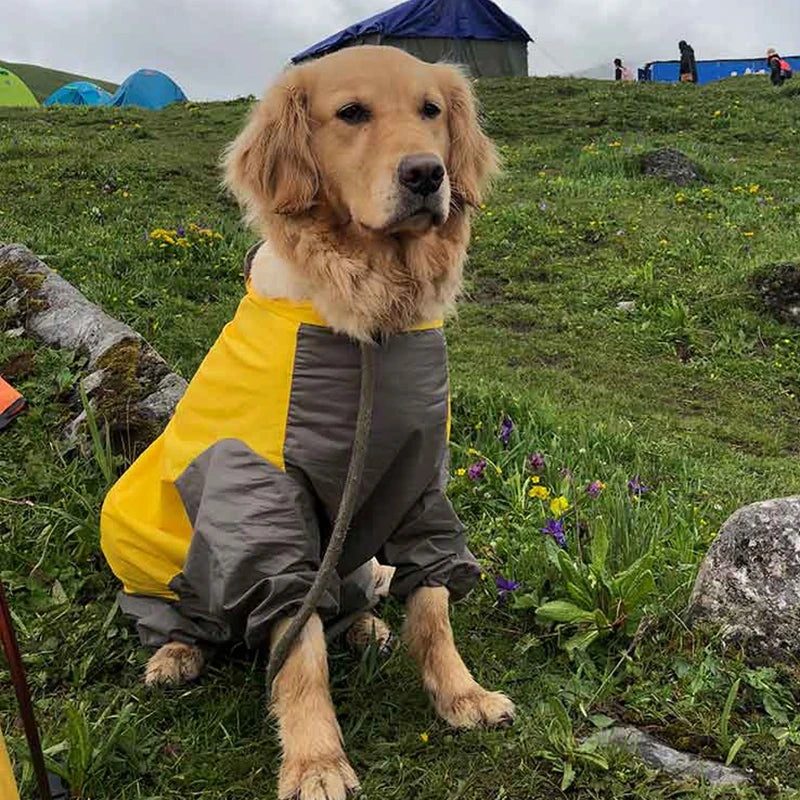 Capa de Chuva Impermeável para Cães Médio e Grande Porte