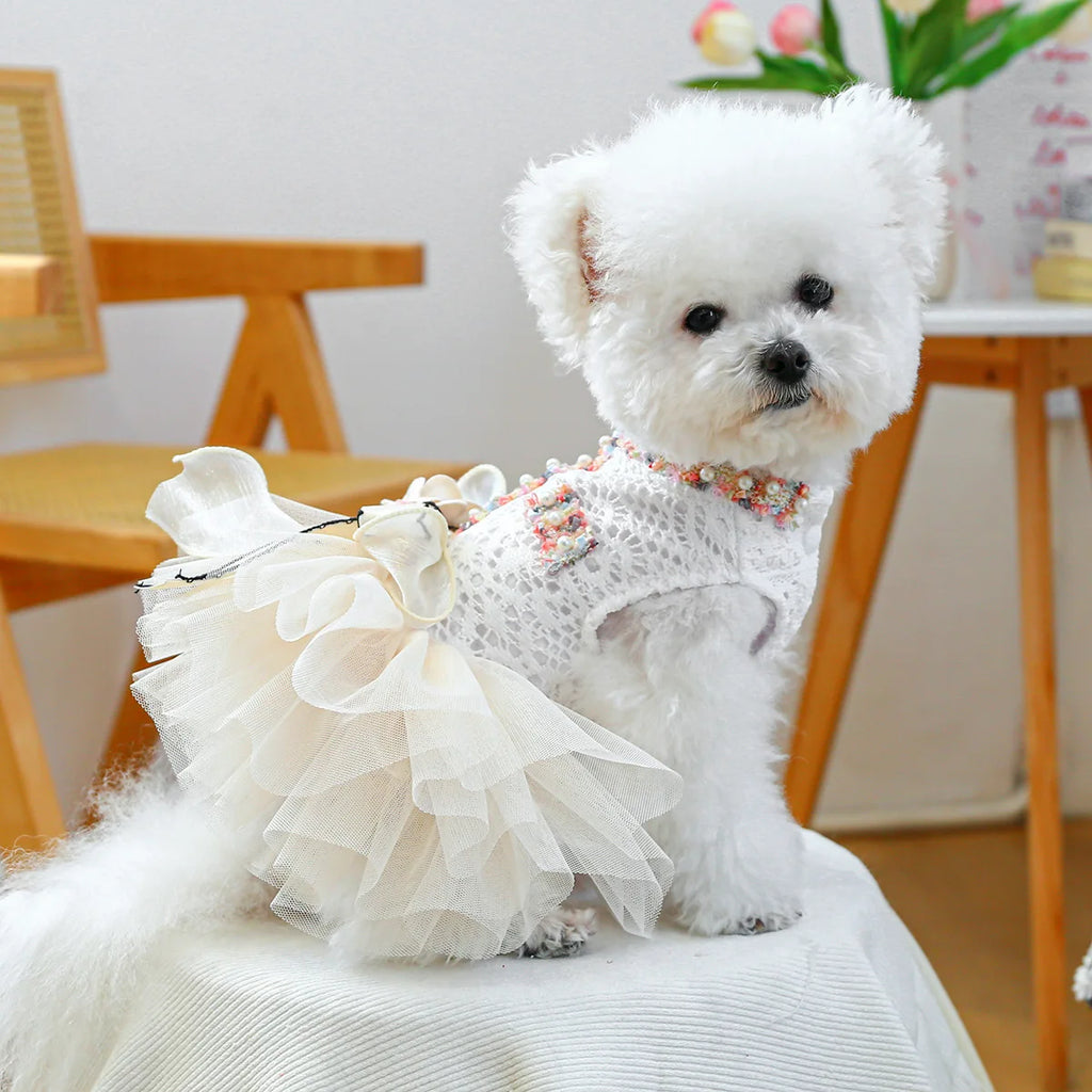 Vestido Princesa Luxo para Cães Pequenos com Tule e Pérolas