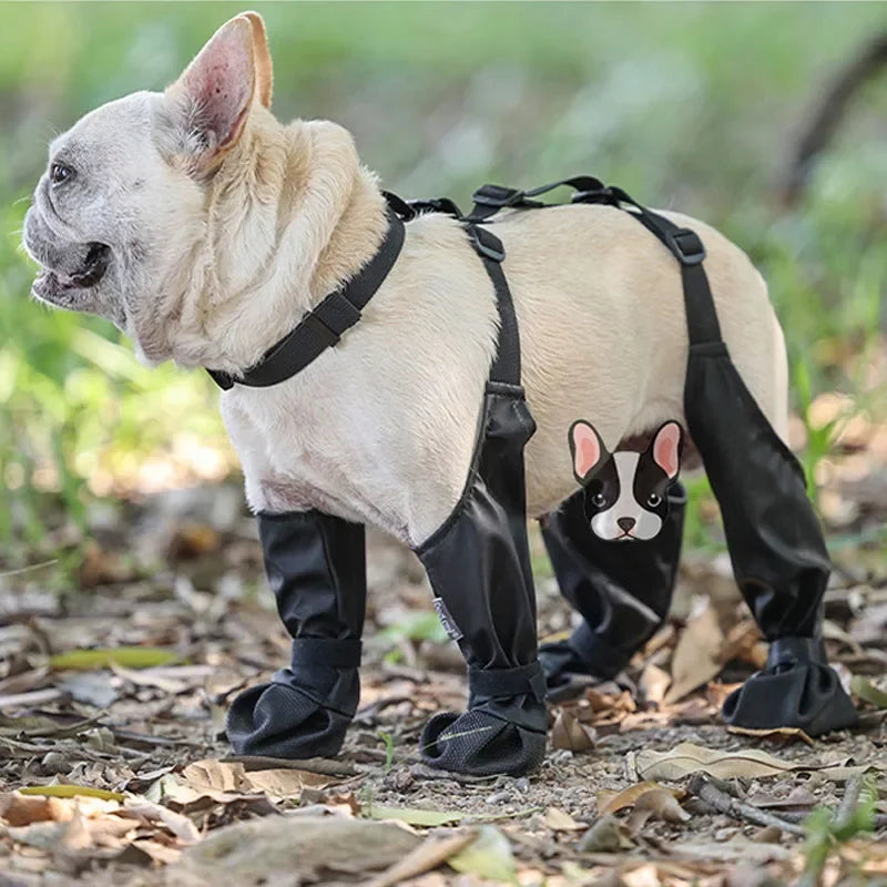 Botas Impermeáveis Antiderrapantes para Cães com Suspensório