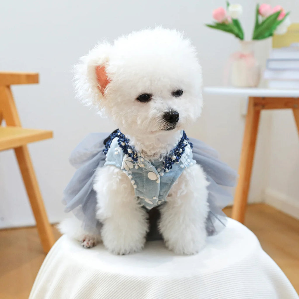 Vestido Princesa Luxo para Cães Pequenos com Tule e Pérolas