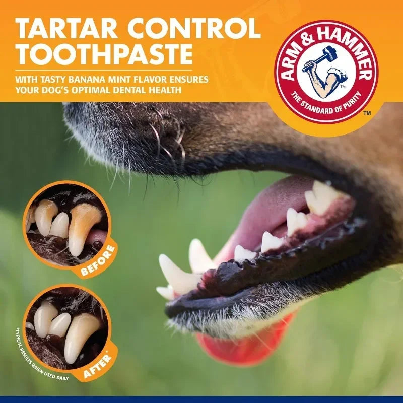 Kit Completo de Higiene Bucal para Cães – Pasta + Escova Dental Antiplaca e Antitártaro