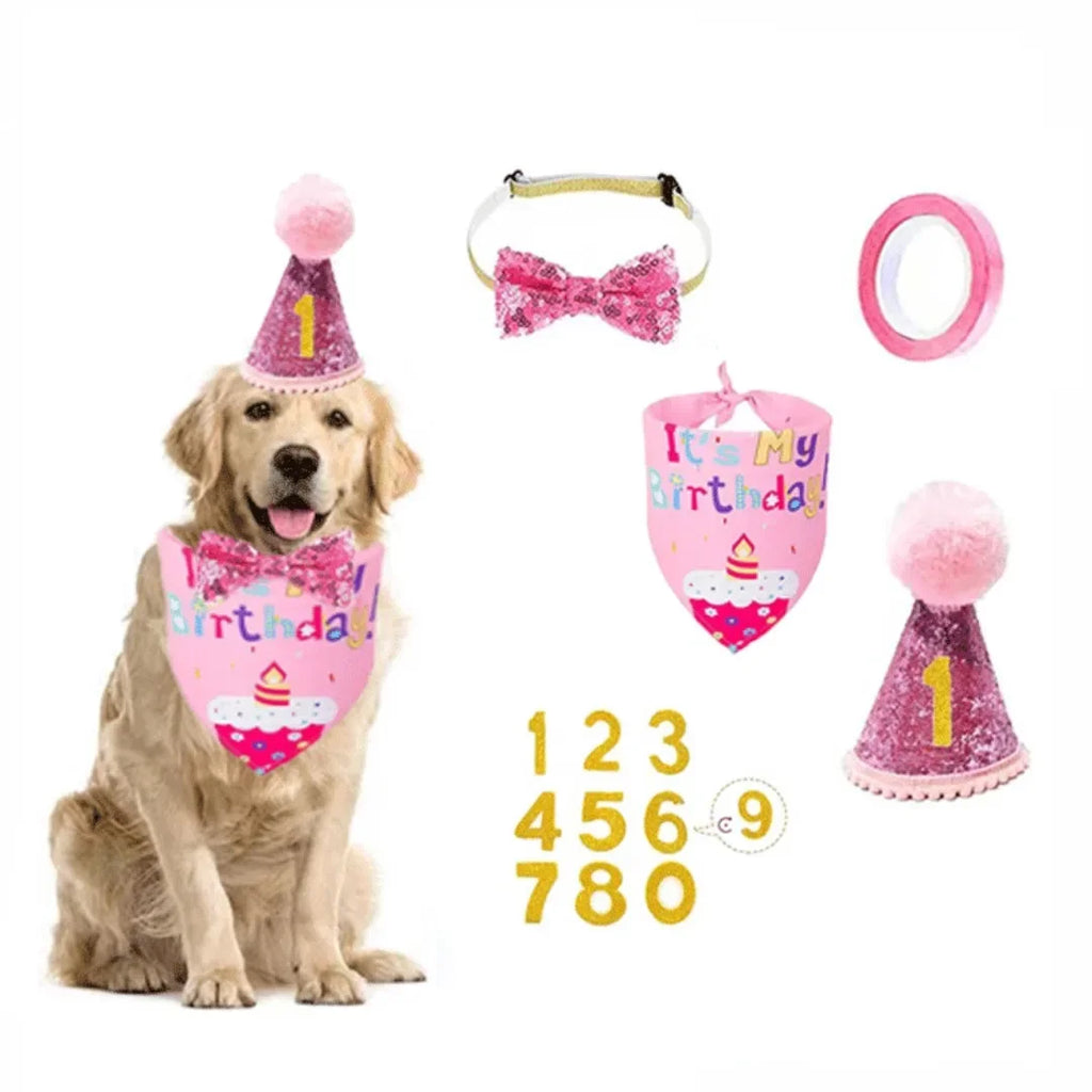 Pet Birthday Party Kit – Look Completo para o Grande Dia