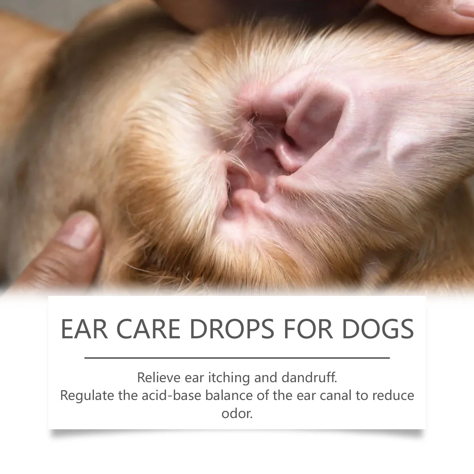 Dog Ear Care Drops – Alívio Imediato para Coceira, Mau Cheiro e Cera nos Ouvidos