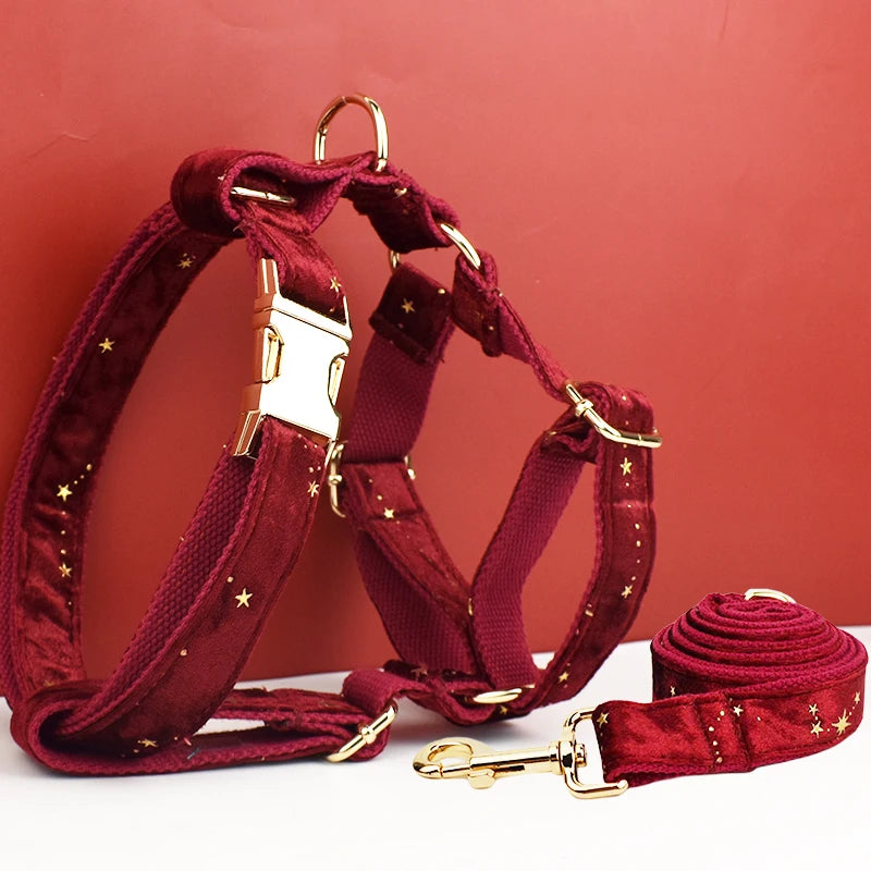 Peitoral Premium Personalizado para Cães