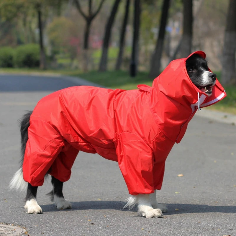 Capa de Chuva Impermeável para Cães Médio e Grande Porte