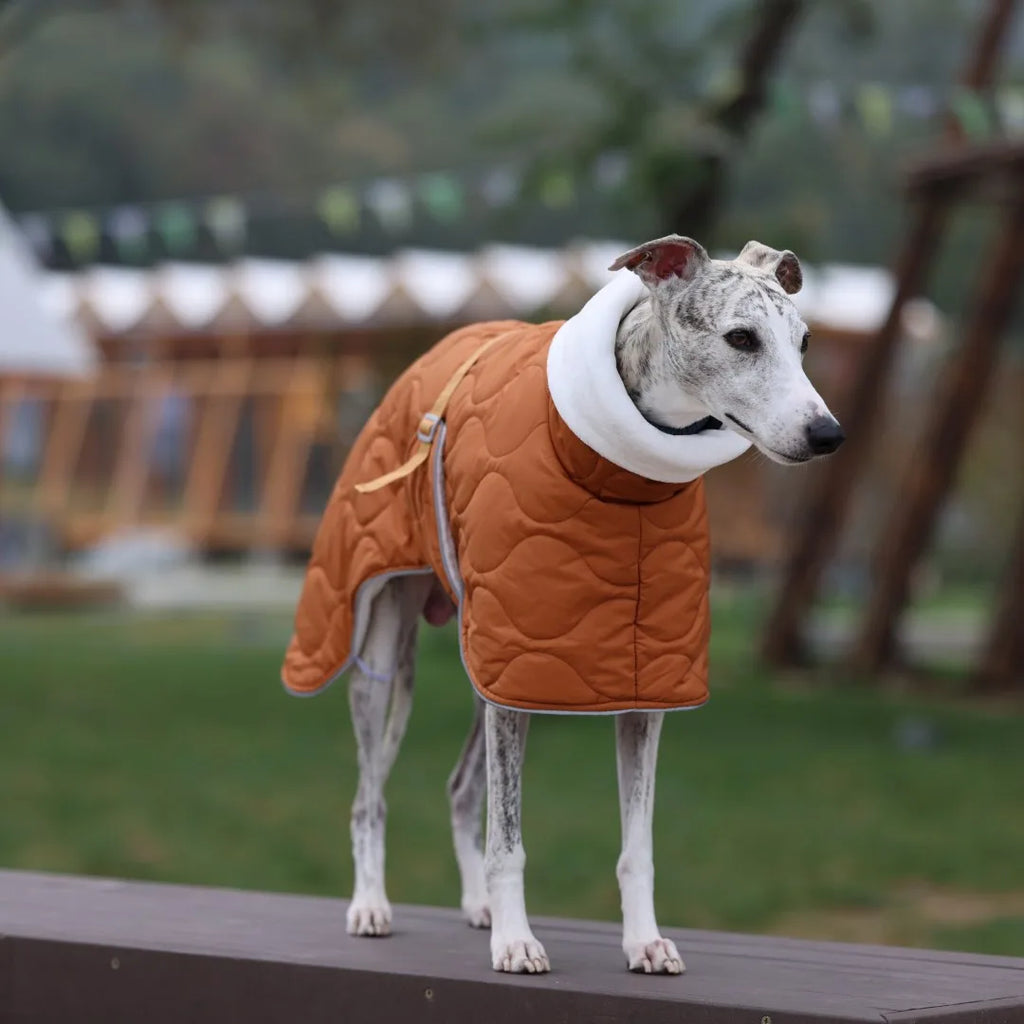 Casaco Impermeável de Inverno para Whippet – Ajuste Anatômico & Forro Térmico