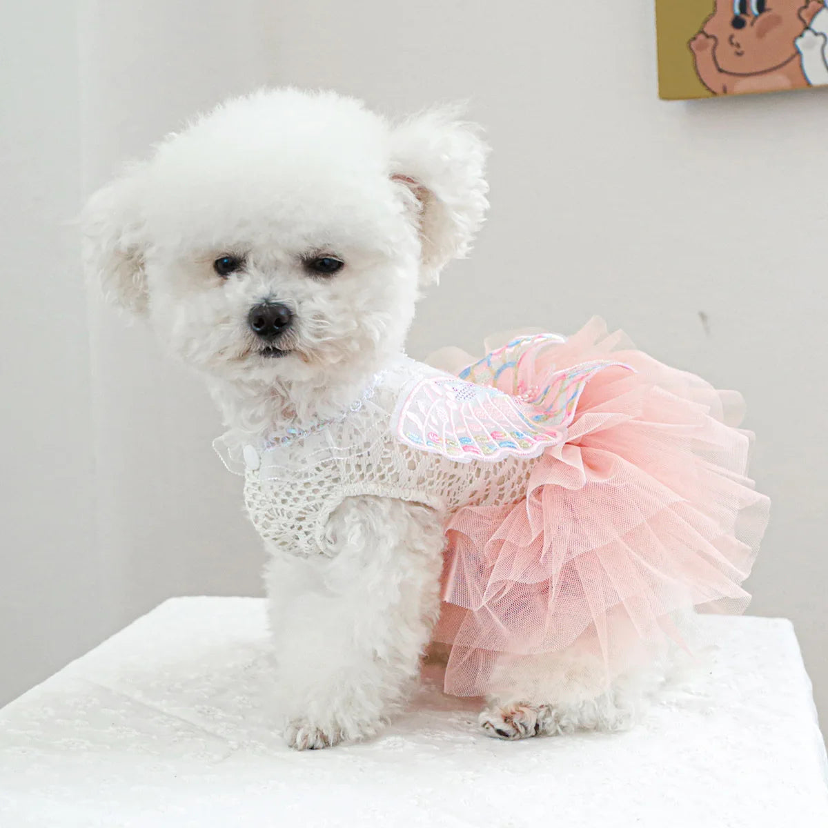Vestido Princesa Borboleta para Cães e Gatos Pequenos em Renda e Tule – Fantasia Elegante Pet