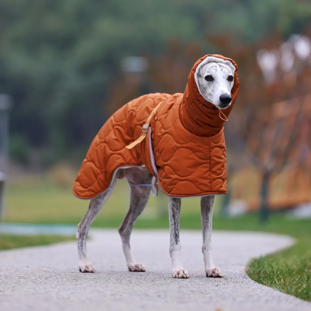 Casaco Impermeável de Inverno para Whippet – Ajuste Anatômico & Forro Térmico