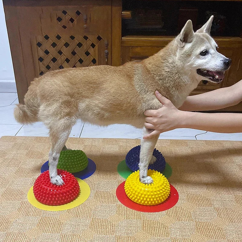 Almofada de Reabilitação e Equilíbrio Canino – Treino Neuromotor e Força Muscular