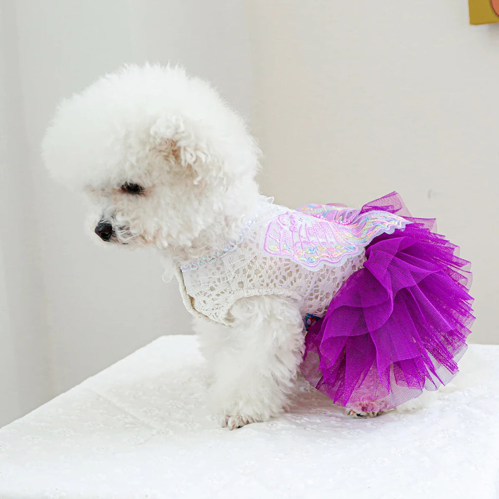 Vestido Princesa Borboleta para Cães e Gatos Pequenos em Renda e Tule – Fantasia Elegante Pet