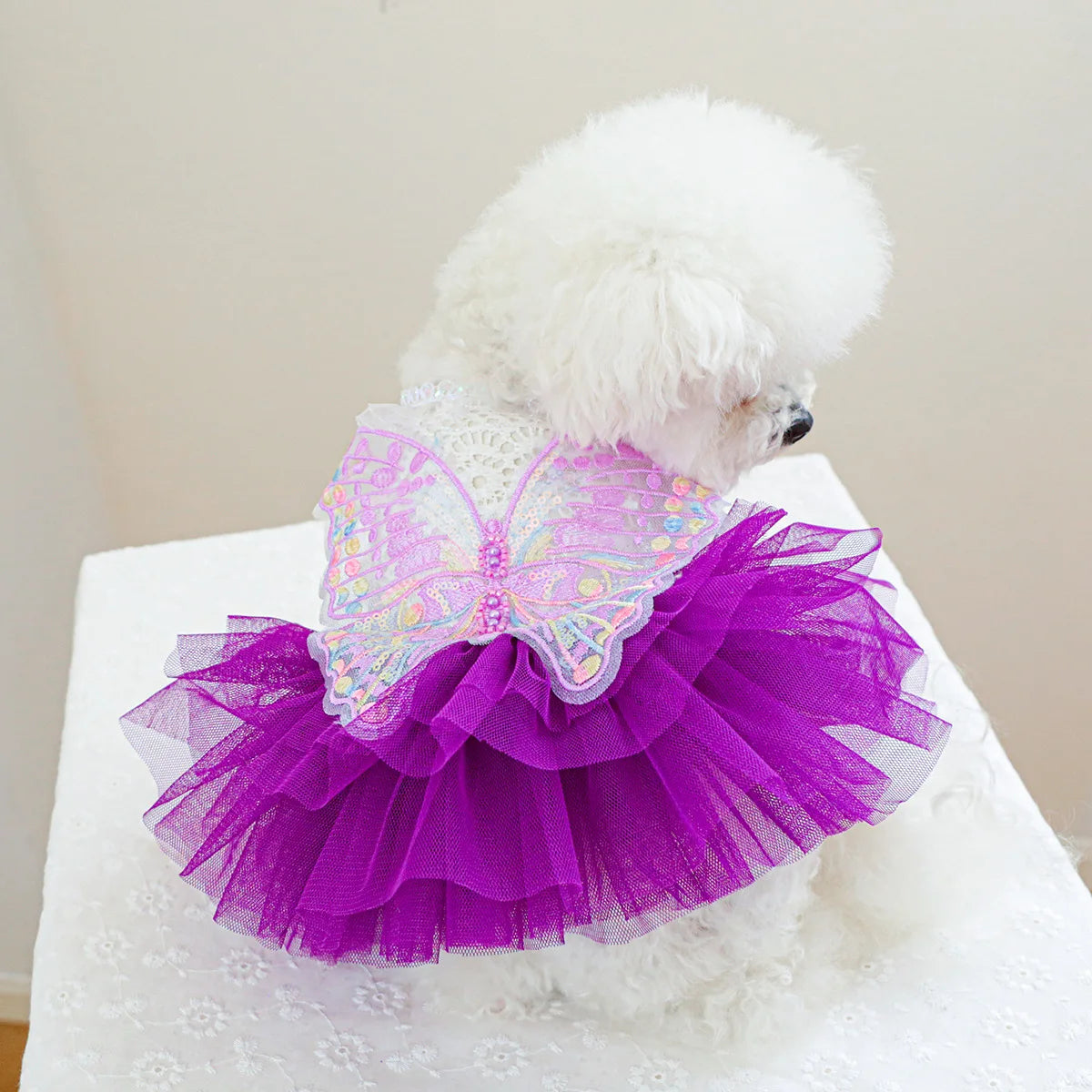 Vestido Princesa Borboleta para Cães e Gatos Pequenos em Renda e Tule – Fantasia Elegante Pet