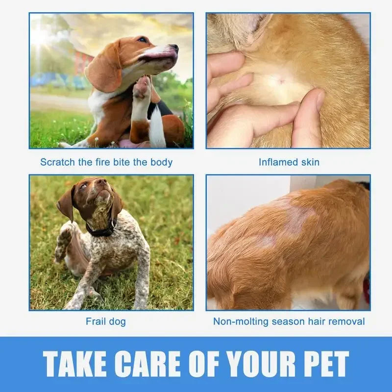 Pet Anti-Itch Spray – Alívio Imediato para Coceira e Pele Sensível