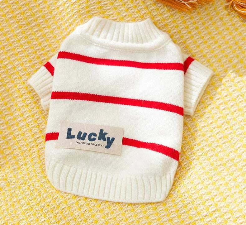 Suéter de Inverno Pet Knit – Conforto Quente & Estilo Fofo