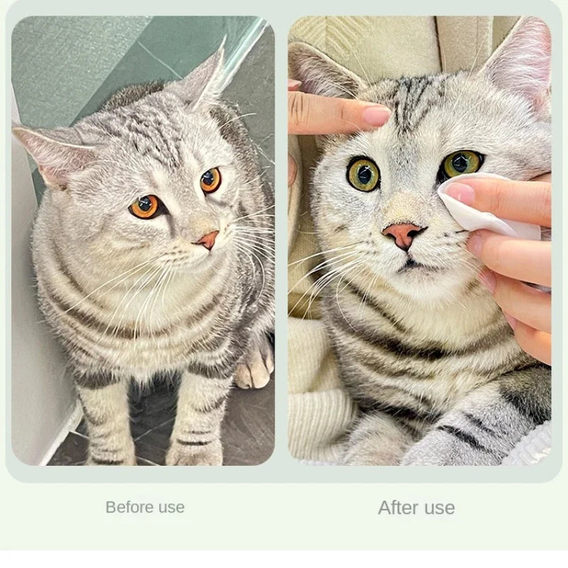 Lenços Oftálmicos para Pets – Limpeza Suave que Remove Manchas e Protege os Olhos