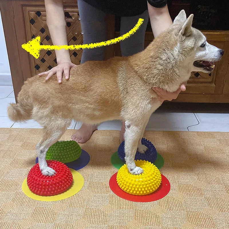 Almofada de Reabilitação e Equilíbrio Canino – Treino Neuromotor e Força Muscular