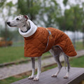 Casaco Impermeável de Inverno para Whippet – Ajuste Anatômico & Forro Térmico